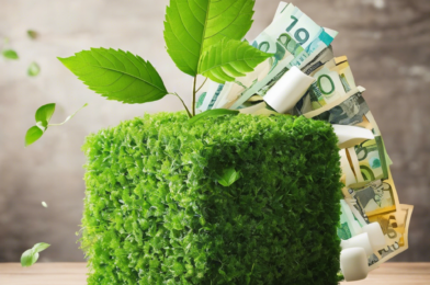 Sustainable Living on a Budget: 15 Money-Saving Green Strategies